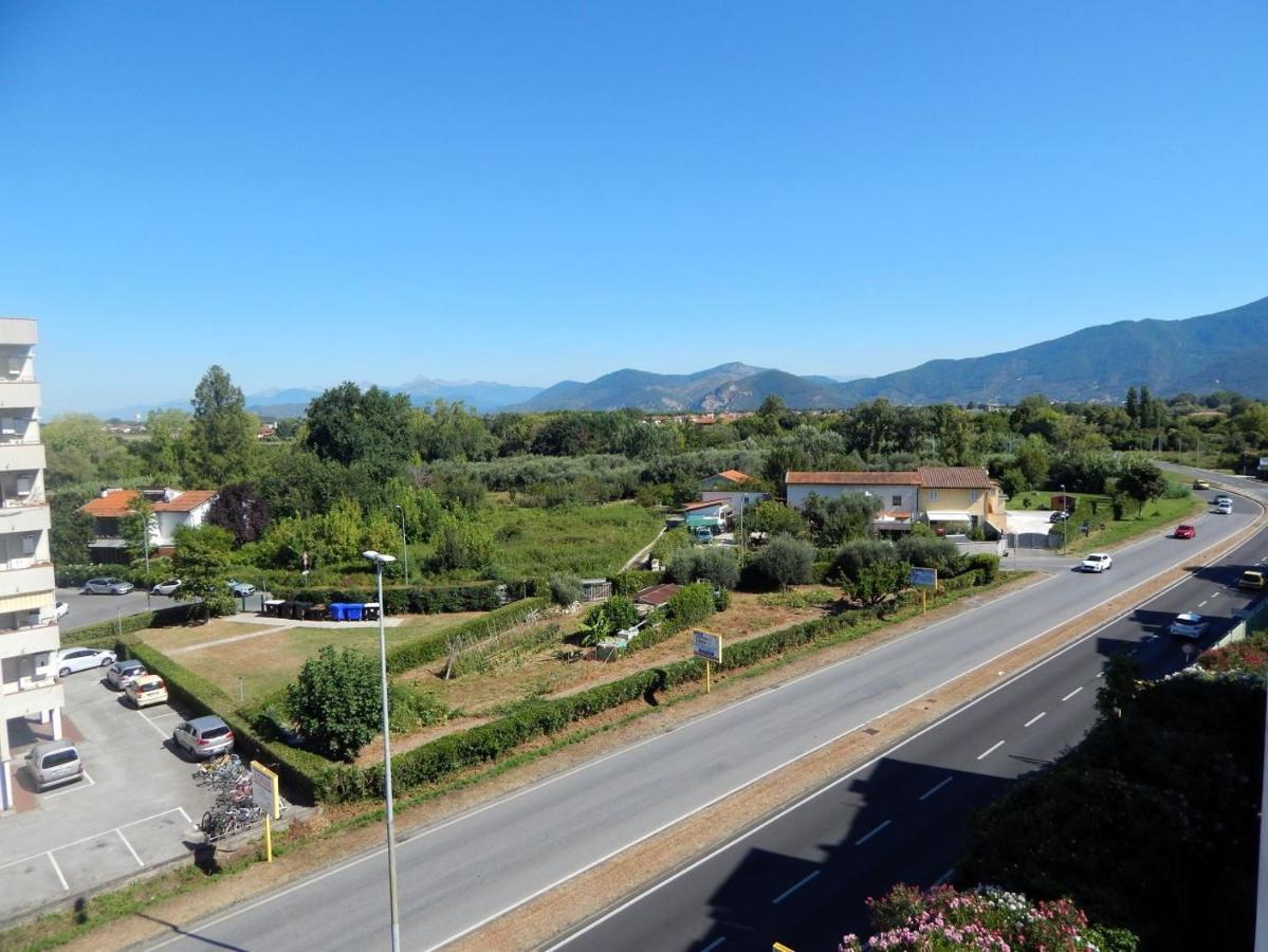 B&B L'Orchidea Pisa Bagian luar foto