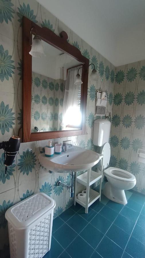 B&B L'Orchidea Pisa Bagian luar foto